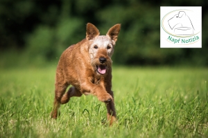8E7A8880-Bearbeitet-2 copymit logo Frieda vom Haseland
